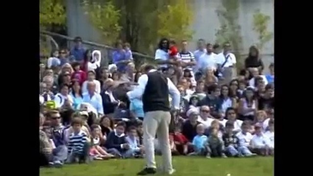 Spettacolo di falconeria - Oltremare Riccione (Falconry show)