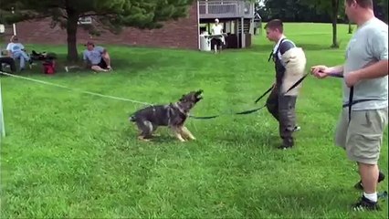 Furious Training Summer 2009