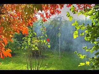 Irina Zaritskaya - 1960 Chopin Competition - Best Mazurka Prize.wmv