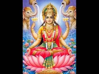 A humble prayer to Divine Amma, the Mother of all Beings