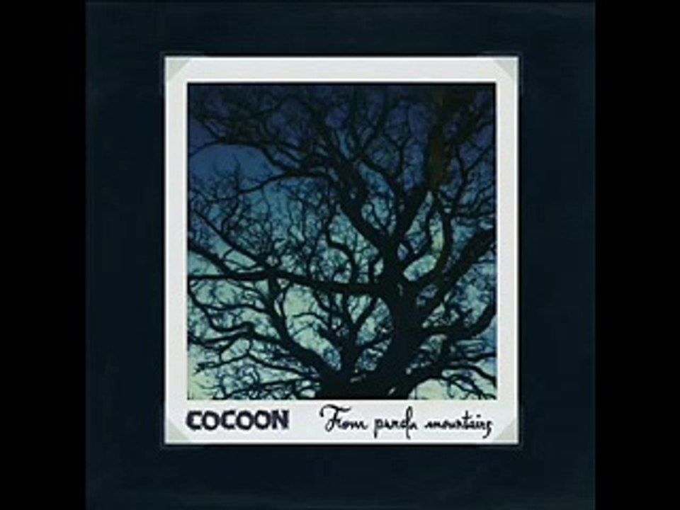 Cocoon - Hummingbird