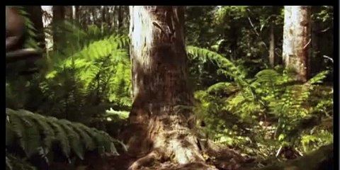 Dilophosaurus: Triple Threat (WDRA)