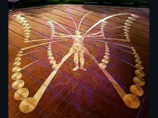 Ƹ̵̡Ӝ̵̨̄Ʒ The Human Butterfly Crop Circle Evolution Ƹ̵̡Ӝ̵̨̄Ʒ