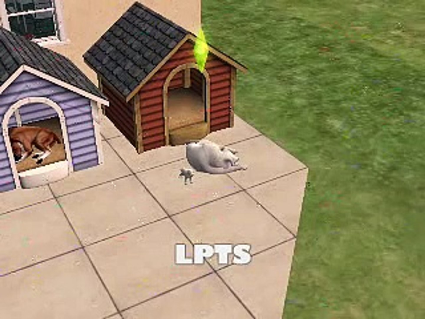 ⁣Pets Pets Pets Pets!!!