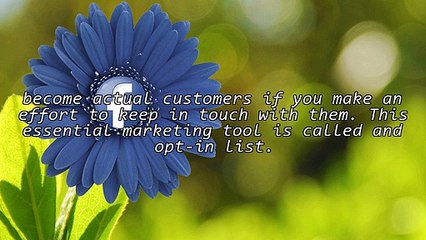 Implementing an Opt-In List to Optimize Your Internet Marketing Success