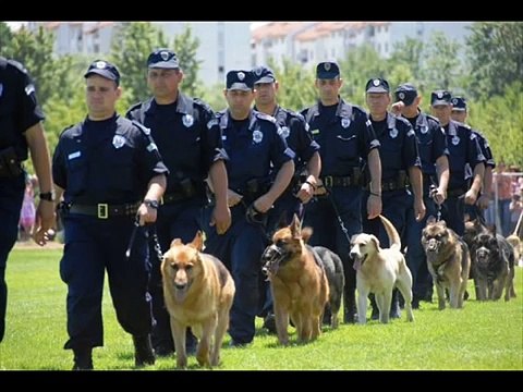 СРПСКА ПОЛИЦИЈА / SRPSKA POLICIJA / SERBIAN POLICE