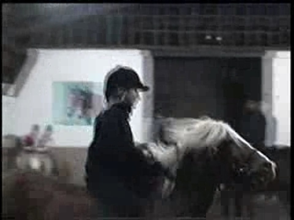 Poneys2000montage