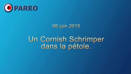 Un cornish-schrimper dans la pétole