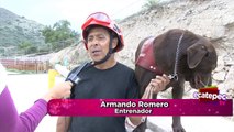 Entrenan con método italiano a perros rescatistas en Ecatepec
