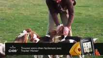Tracker G400   Tracker Hunter - collier de repérage chien de chasse
