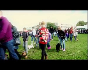 Pasaulinė gyvūnų globos šventė Gargžduose. "MARS Lietuva" organizuotas renginys. 2011 09 25