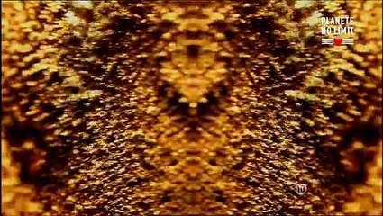 100 orgasmes par jours