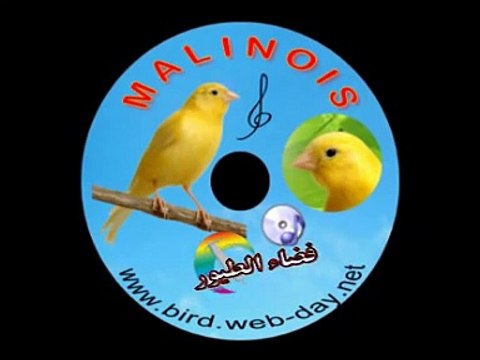 CD -CHANT DE MALINOIS