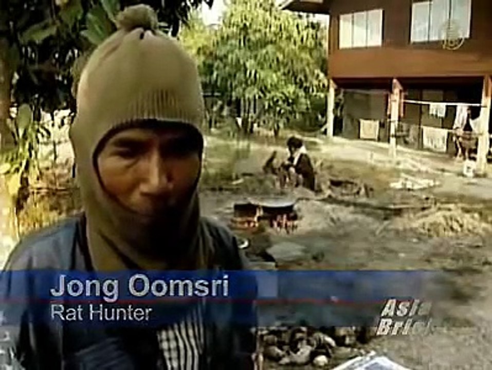 Farmers celebrate the Year of the Rat by eating them