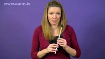 Beginner Irish Tin Whistle | Free Lesson No.1 of 6: Hand and Finger positioning - D maj Scale