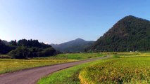 Royalty Free Stock Footage : Rural landscape in Japan[HD]