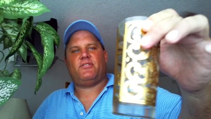 SHOENICE STOPS CEILING FAN W/HEAD