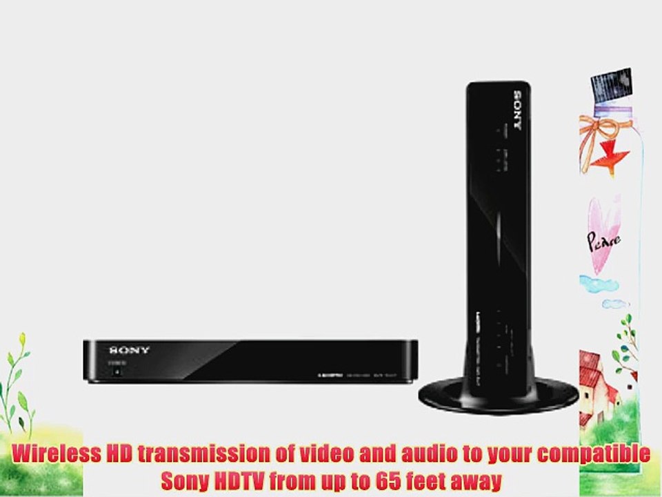 Sony DMEX DMXWL1 BRAVIA Wireless HD Link