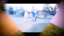 Les chevaux  et moi une passion ..  mais pour l'instant q'un rêve celui de faire de l'équitation...... :/