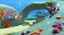 The whale, learn sea animals with children   Educational video cartoons for toddlers and babies