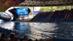 A Shamu Story - SeaWorld San Antonio - Shamu Stadium May 2015