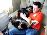 rottie cuddles
