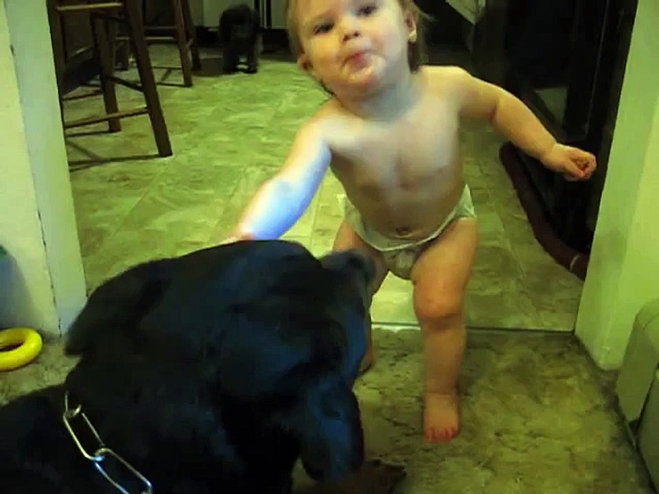 Rottweiler and Baby