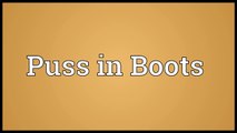 Puss in Boots Meaning