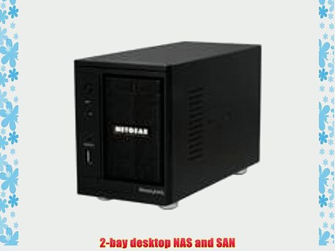 Netgear ReadyNAS Pro 2 4TB Unified Storage System (2TB: 2 x 2TB) (RNDP2220)