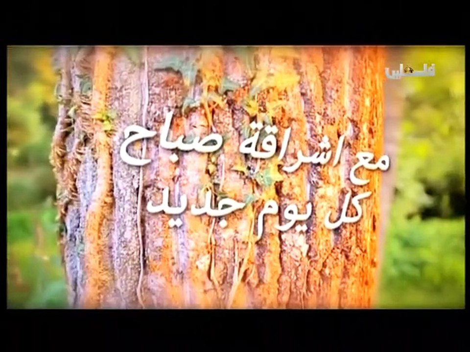 فلسطين هذا الصباح ج1 - 7/6/2015
