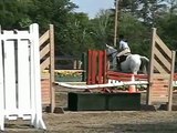 Hunter/Jumper Horse for sale NY