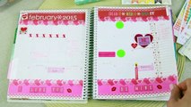 Planner Organization   Setup | Stickers & Wellness Journal