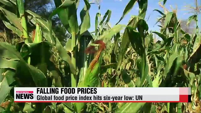 Global food price index hits six-year low: UN