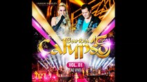 Banda Calypso - Fórmula Mágica - Dois Corações - Áudio do DVD Calypso 15 Anos