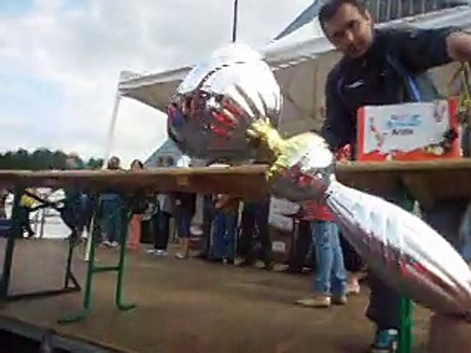 REMISE DES RECOMPENSES U11