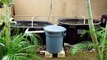Swirl Filter for Aquaponics CHOP2 System - Maui, Hawaii