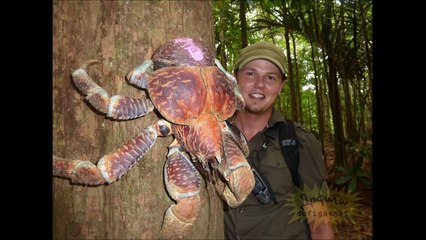 【閲覧注意】オーストラリア怖すぎ・・・