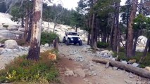 Jeep Rubicon taking on the Rubicon trail in the Sierra Nevada Mountains Rock climbing