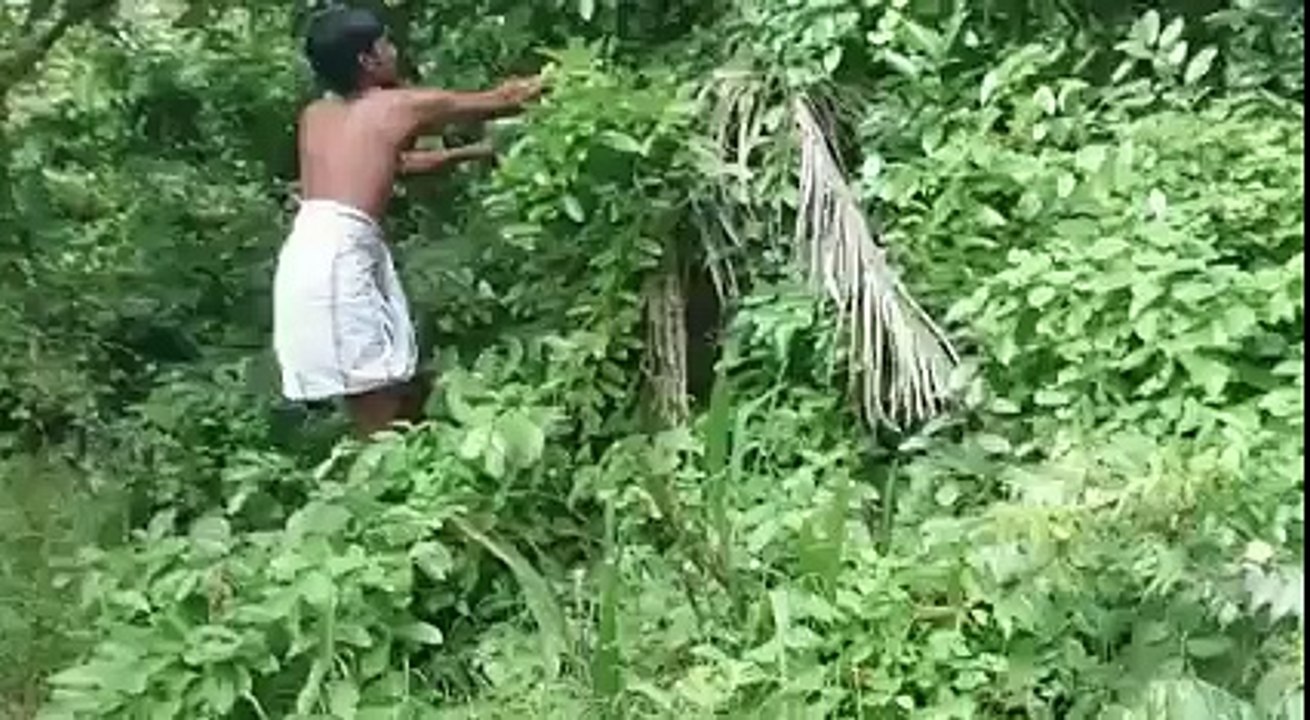 REally So much Funny Video Snake  with Man Hd Video