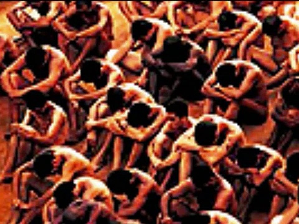 carandiru trab de literatura