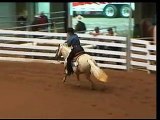 One Steady Tradition Reining horse for sale