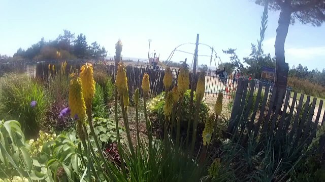 Championnat départemental Unss 44 de Powerkite juin 2015