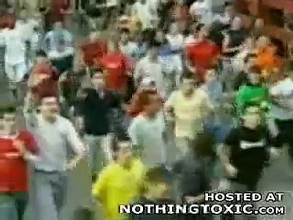 Escaped Bulls