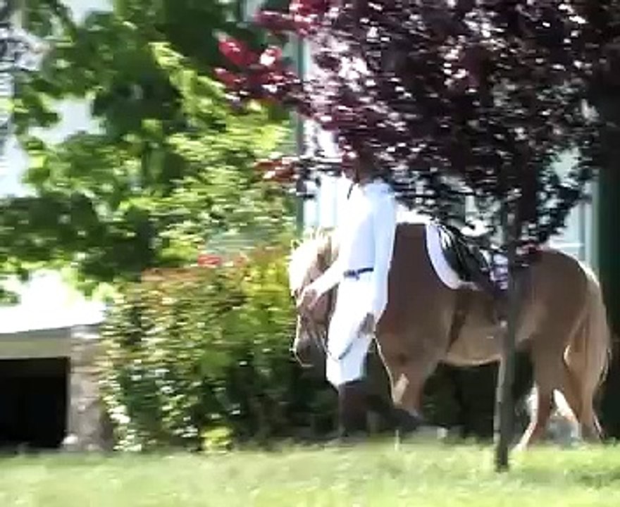 Out of control pony ride