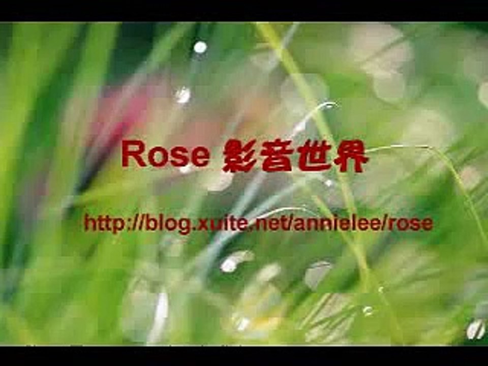 劉若英 - 光