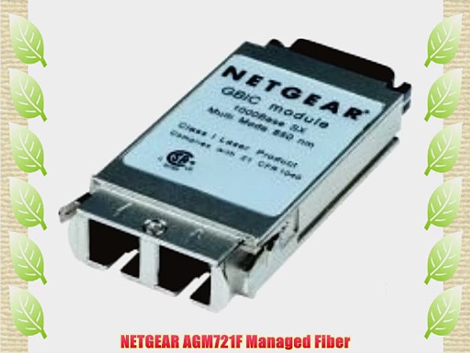 Netgear AGM721F Managed Fiber Gigabit Module