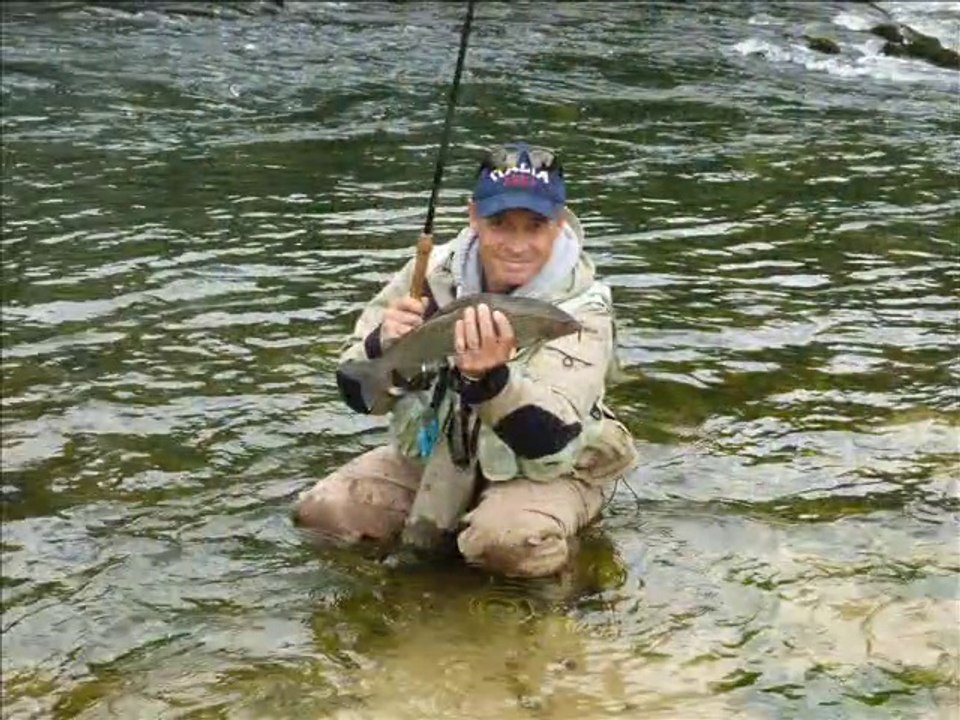 La Bienne en 2015