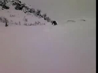 Cri-Cri se re-lache !