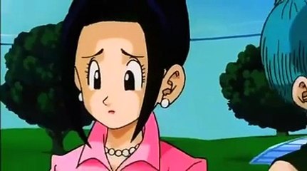 Bulma wants Goku, Chi-Chi wants Vegeta!