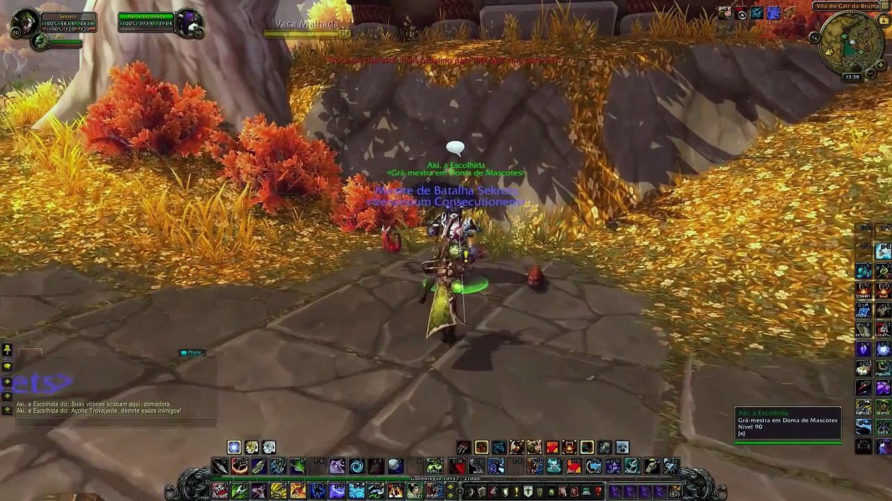 Derrotando Aki, a Escolhida   World of Warcraft 1080p Funny Game